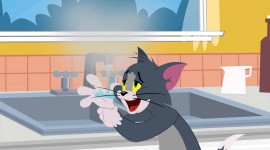 Tom And Jerry Wallpaper Free