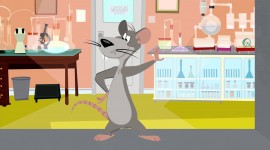 Tom And Jerry Wallpaper Gallery