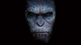 War For The Planet Of The Apes Wallpaper Download