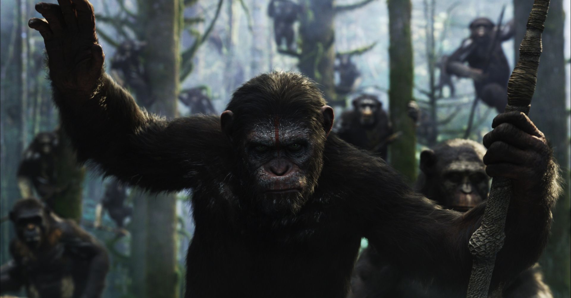 War For The Planet Of The Apes Online