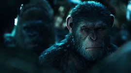 War For The Planet Of The Apes Wallpaper For PC