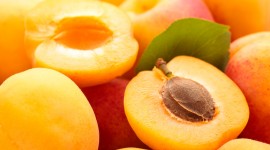 Apricots High Quality Wallpaper
