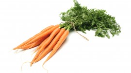 Carrot Best Wallpaper