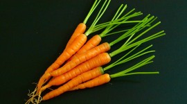 Carrot Photo#1