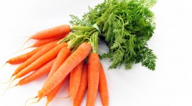 Carrot Photo#2