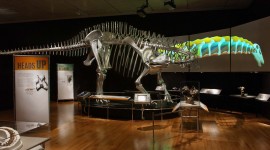 Dinosaur Museum Desktop Wallpaper