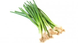 Green Onions Photo