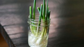 Green Onions Photo Download
