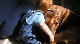 Child And Dog High Quality Wallpaper