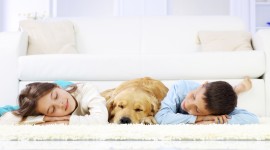 Child And Dog Wallpaper