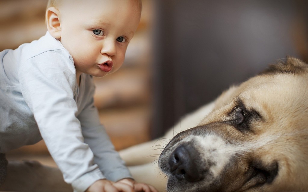 Child And Dog wallpapers HD