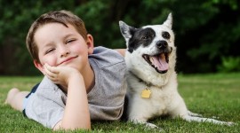 Child And Dog Wallpaper Download Free