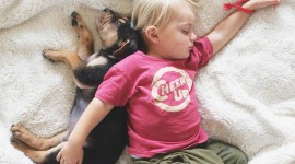Child And Dog Wallpaper Free