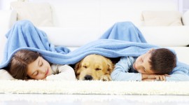 Child And Dog Wallpaper Gallery