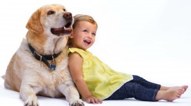 Child And Dog Wallpaper HD