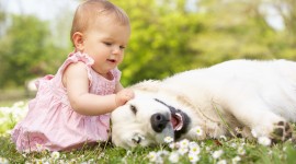 Child And Dog Wallpaper High Definition