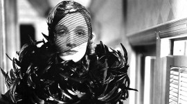 Marlene Dietrich Photo