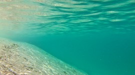 Ocean Floor Picture Download