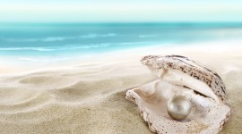 Pearl In The Shell Wallpaper Download