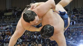 Sumo Wrestler Desktop Wallpaper