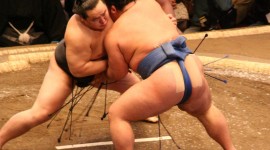 Sumo Wrestler Wallpaper Gallery