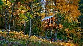 Tree House High Quality Wallpaper