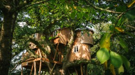 Tree House Wallpaper Download Free