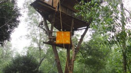 Tree House Wallpaper For IPhone