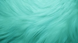 Turquoise Desktop Wallpaper