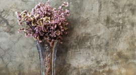 Wilted Flowers Desktop Wallpaper