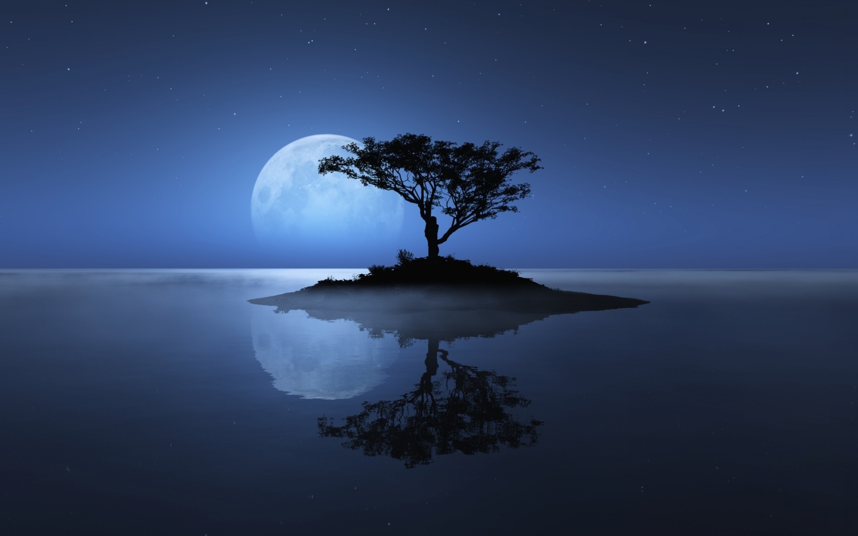 4K Lonely Tree Wallpapers High Quality | Download Free