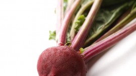 Beet Wallpaper For IPhone Free