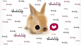 Bunny And Heart Wallpaper Free