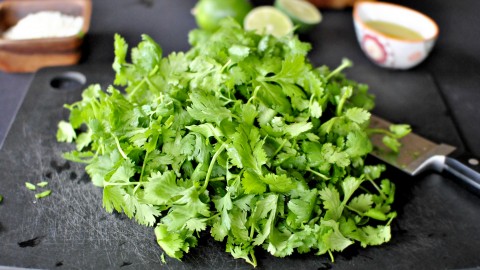 Cilantro wallpapers high quality
