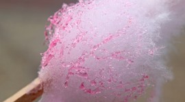 Cotton Candy Photo Download