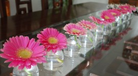 Daisies On The Table Wallpaper Gallery