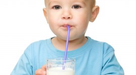 Drink Milk Wallpaper For Mobile