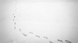 Footprints In The Snow Wallpaper