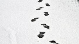 Footprints In The Snow Wallpaper HQ