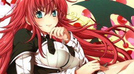High School DxD Picture Download