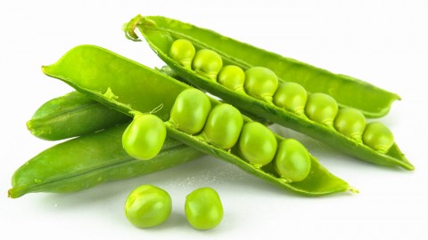 Pea wallpapers high quality
