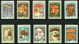 Stamps Best Wallpaper