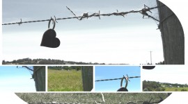 The Hearts On The Fence Image