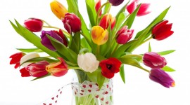 Tulips In A Vase Desktop Wallpaper For PC
