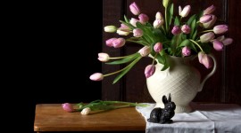 Tulips In A Vase Photo Free