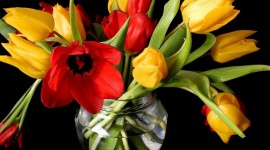 Tulips In A Vase Wallpaper
