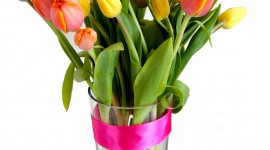 Tulips In A Vase Wallpaper For Android