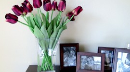 Tulips In A Vase Wallpaper For Desktop