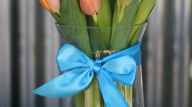 Tulips In A Vase Wallpaper For Mobile