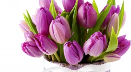 Tulips In A Vase Wallpaper HQ